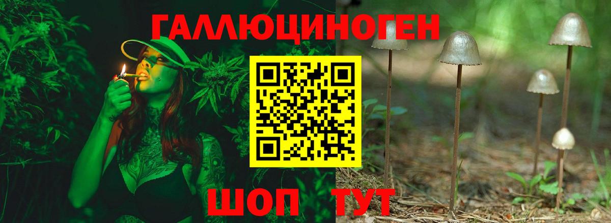 Галлюциногенные грибы Psilocybine cubensis Ялта